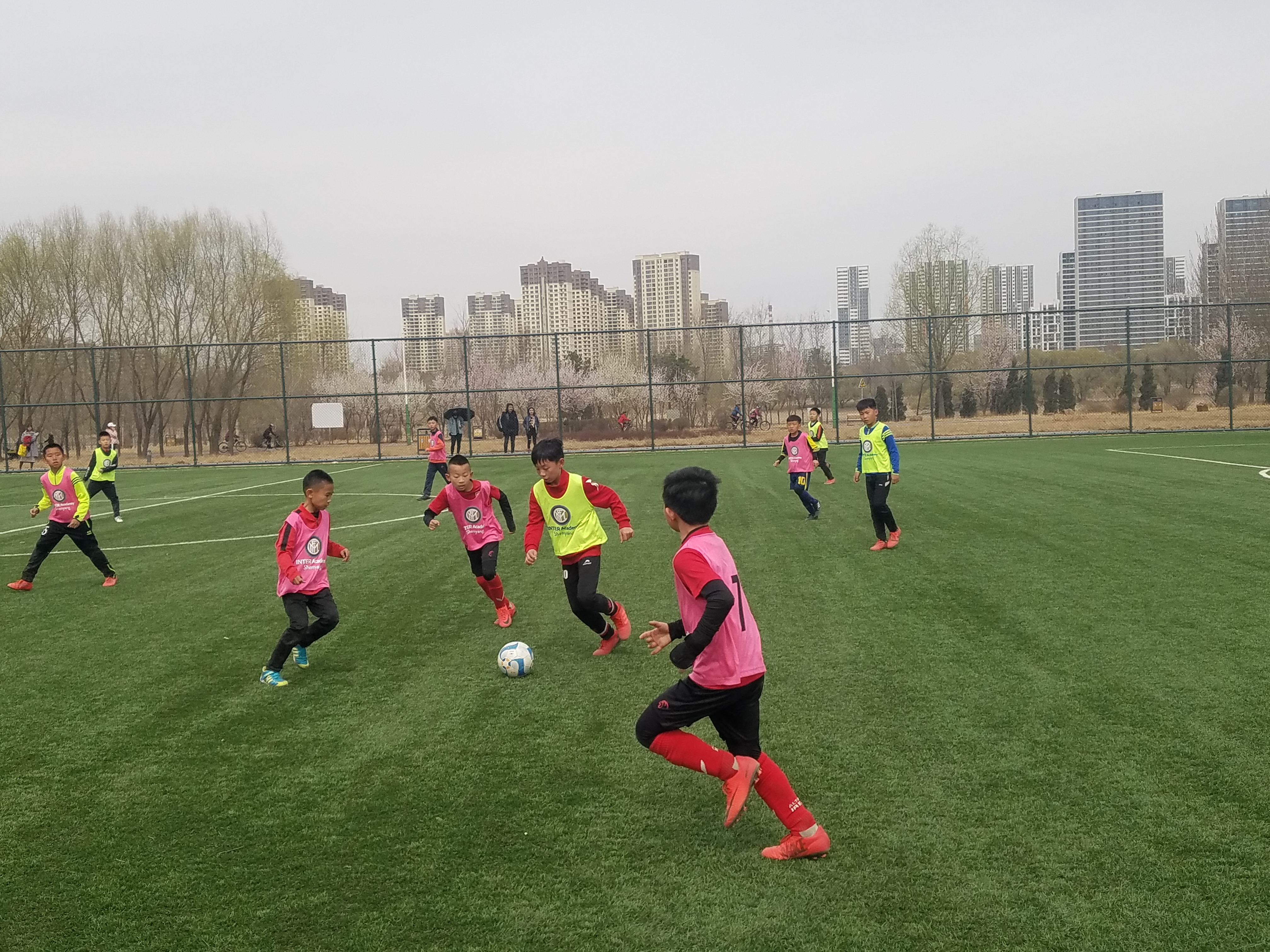 沈阳城市队青训计划加速推进，为未来储备人才的简单介绍