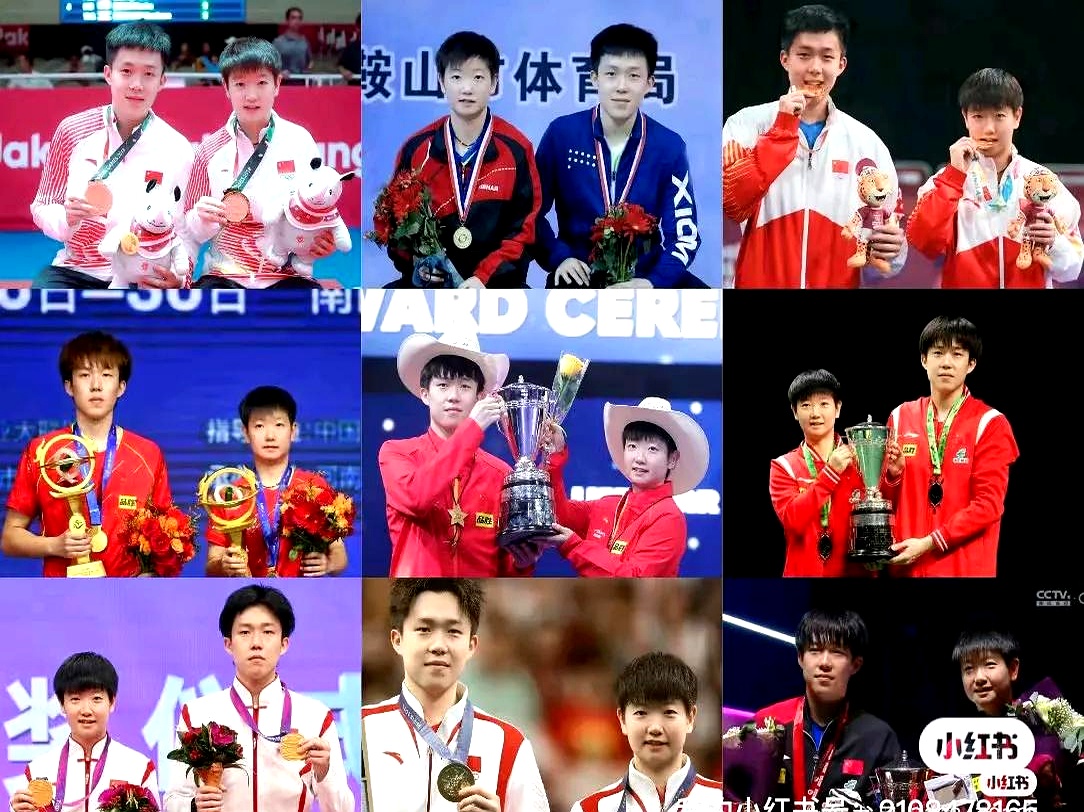 波兰乒乓球队力克奥地利乒乓球队，王皓制霸全场的简单介绍