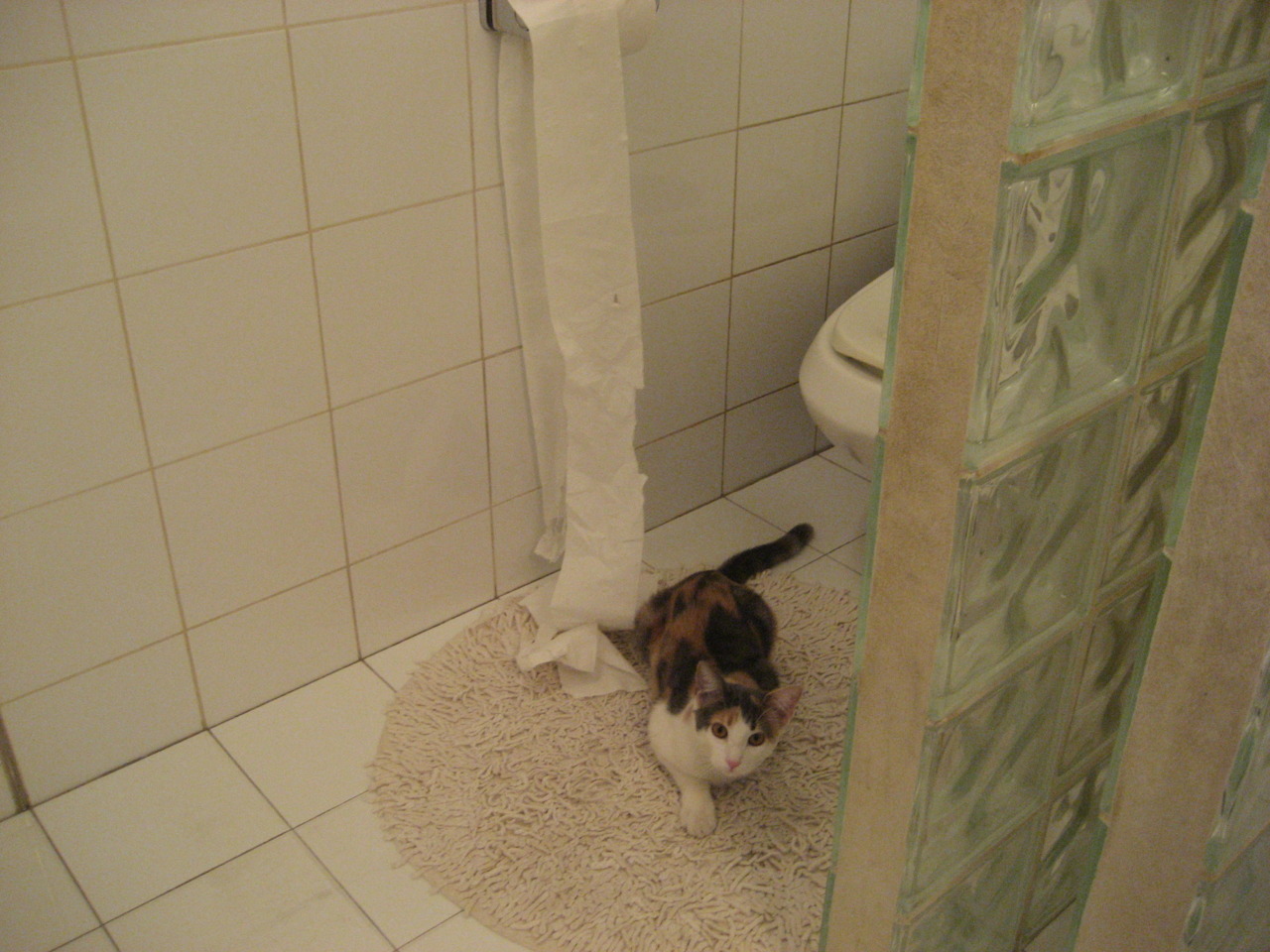 聚光灯下的王者，奥亚尔萨瓦尔与F1年度争冠之夜的终极共舞