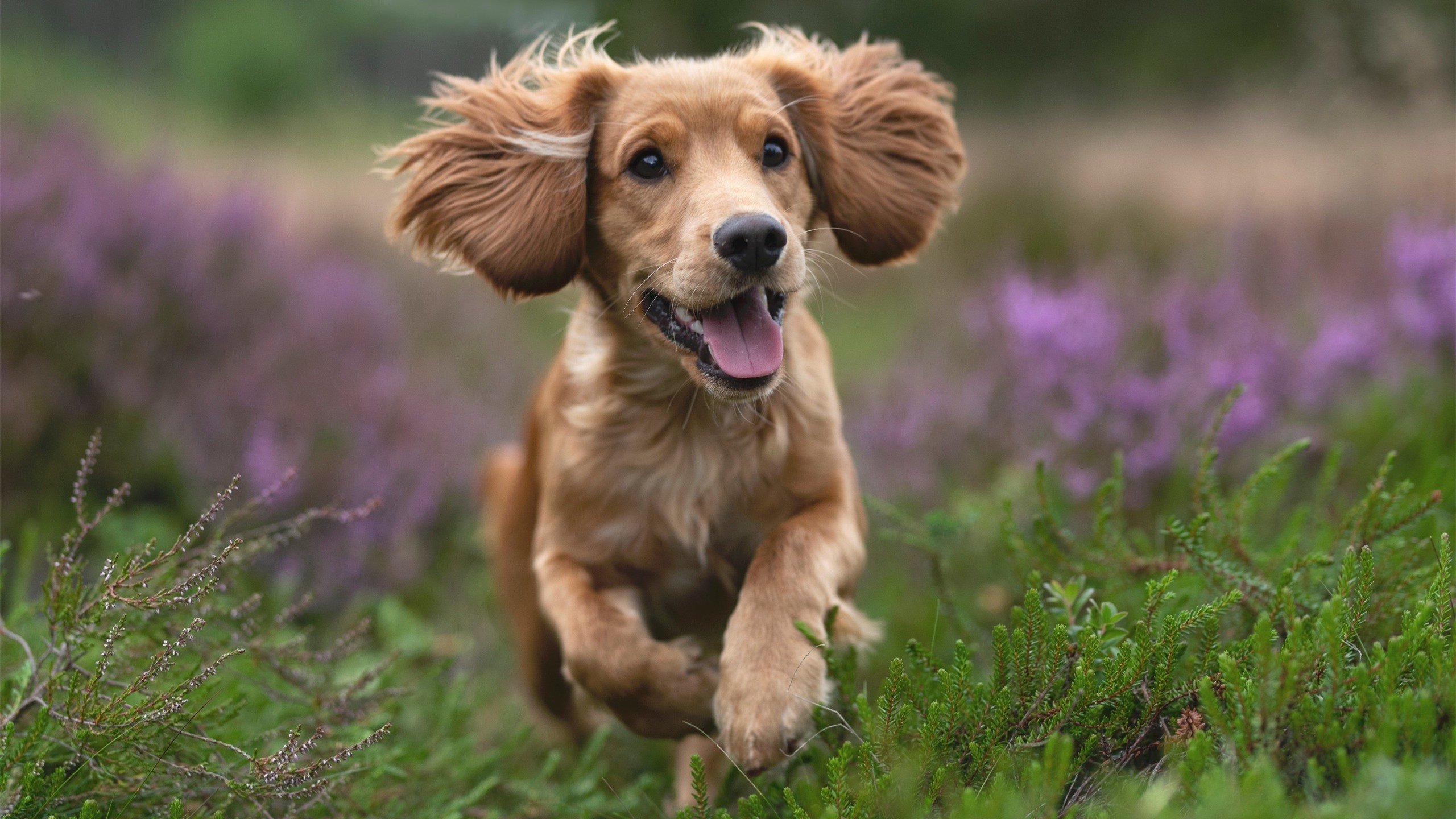 永不熄灭的火焰!曼城最后时刻绝杀马里,这就是永不放弃的足球精神!