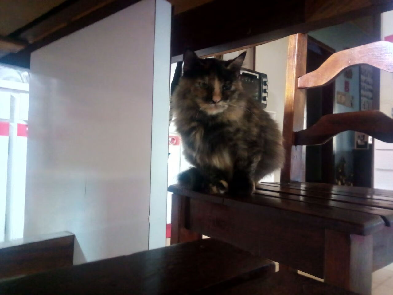 末节之王，保罗在欧冠决赛之夜的传奇接管