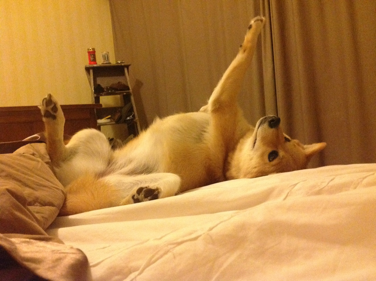 铁蹄踏碎汽车城，步行者攻陷底特律，布克一锤定音