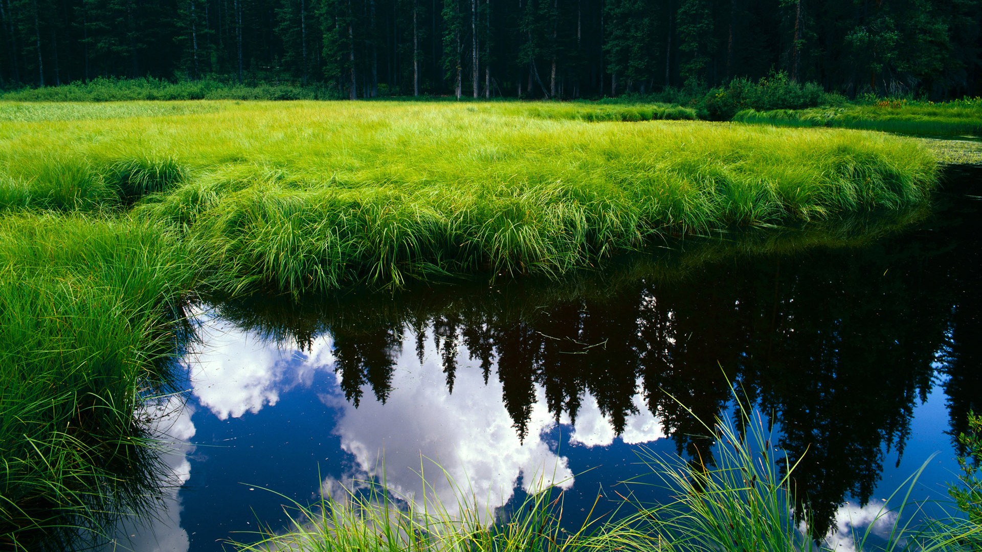 爱德华兹50分里程碑夜成空砍，绿军铁血末节逆转诠释冠军相