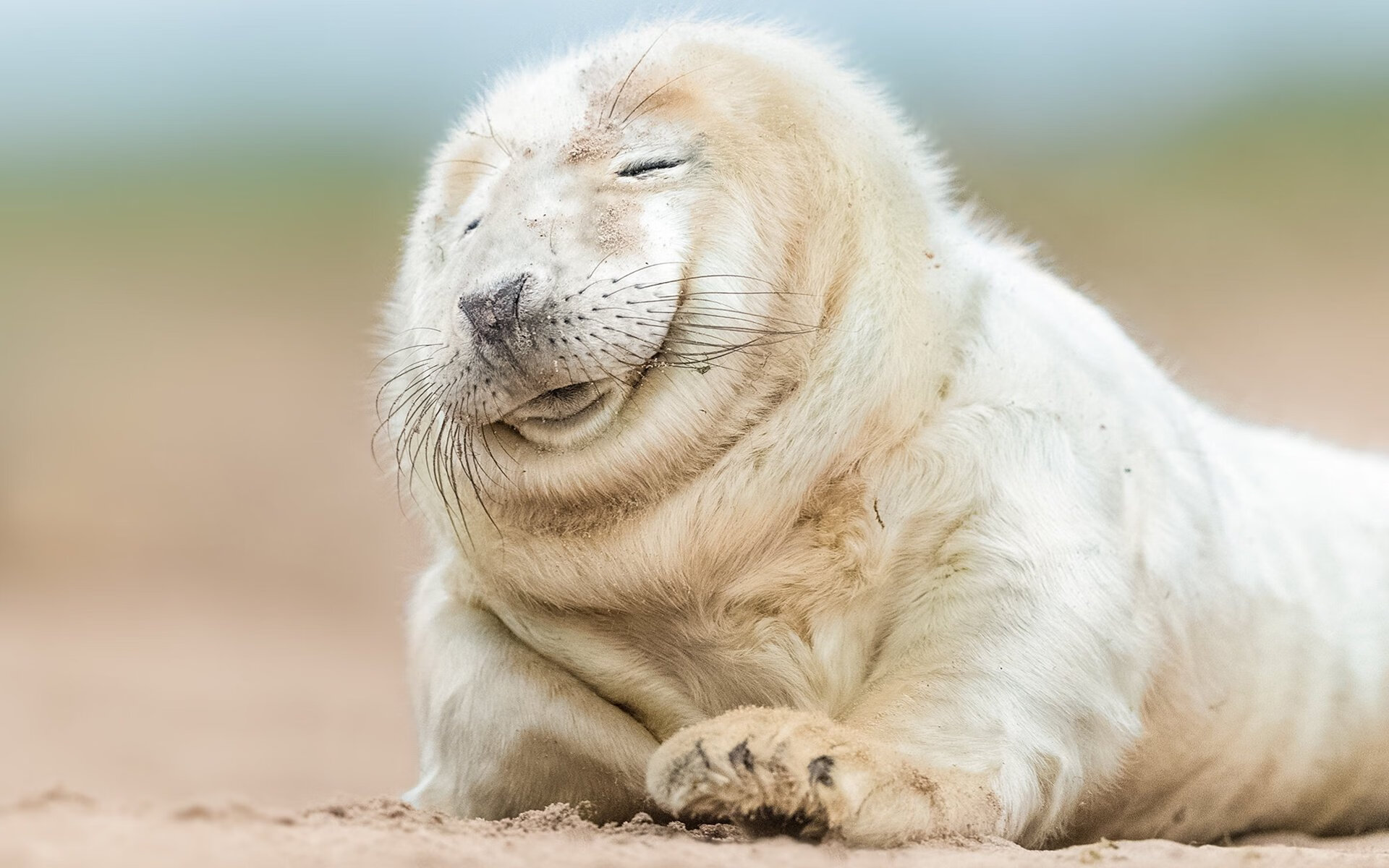 跨界风暴，北京队横扫凯尔特人，班凯罗F1街道赛上演速度与激情