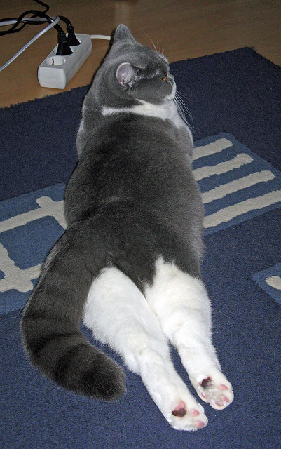 篮球圣手拯救足球之夜,克莱·汤普森的国家德比奇缘