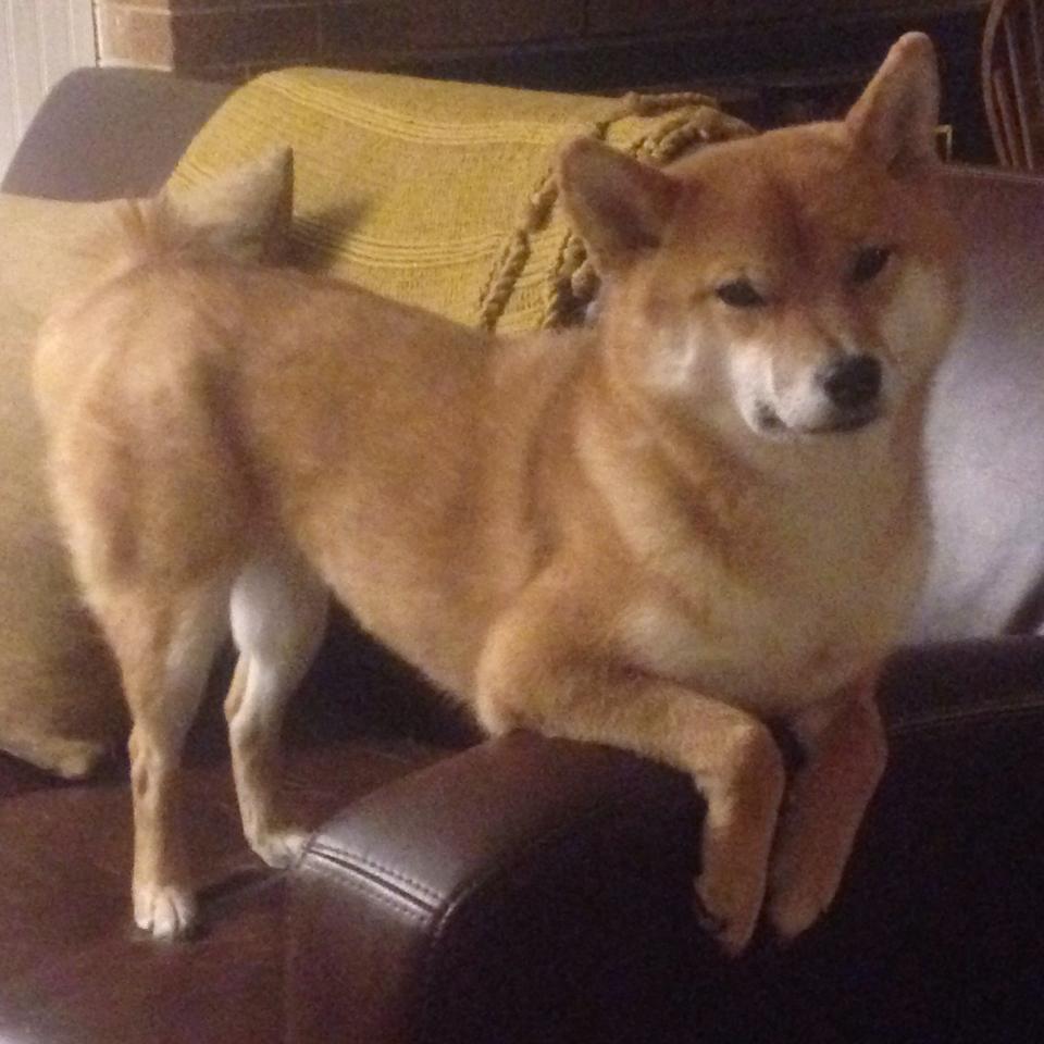 宇宙战舰陨落记,当辽宁的钢铁洪流淹没密尔沃基的星光