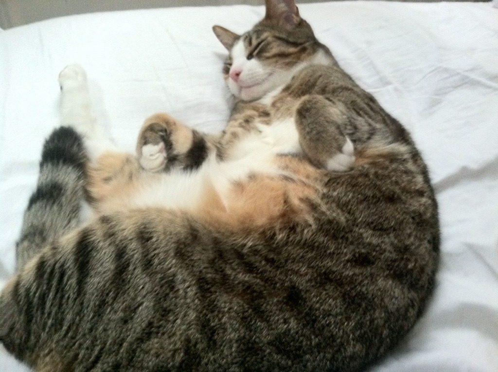 基米希的风暴眼，巨星一锤定音，罗马逆转切尔西书写欧冠史诗