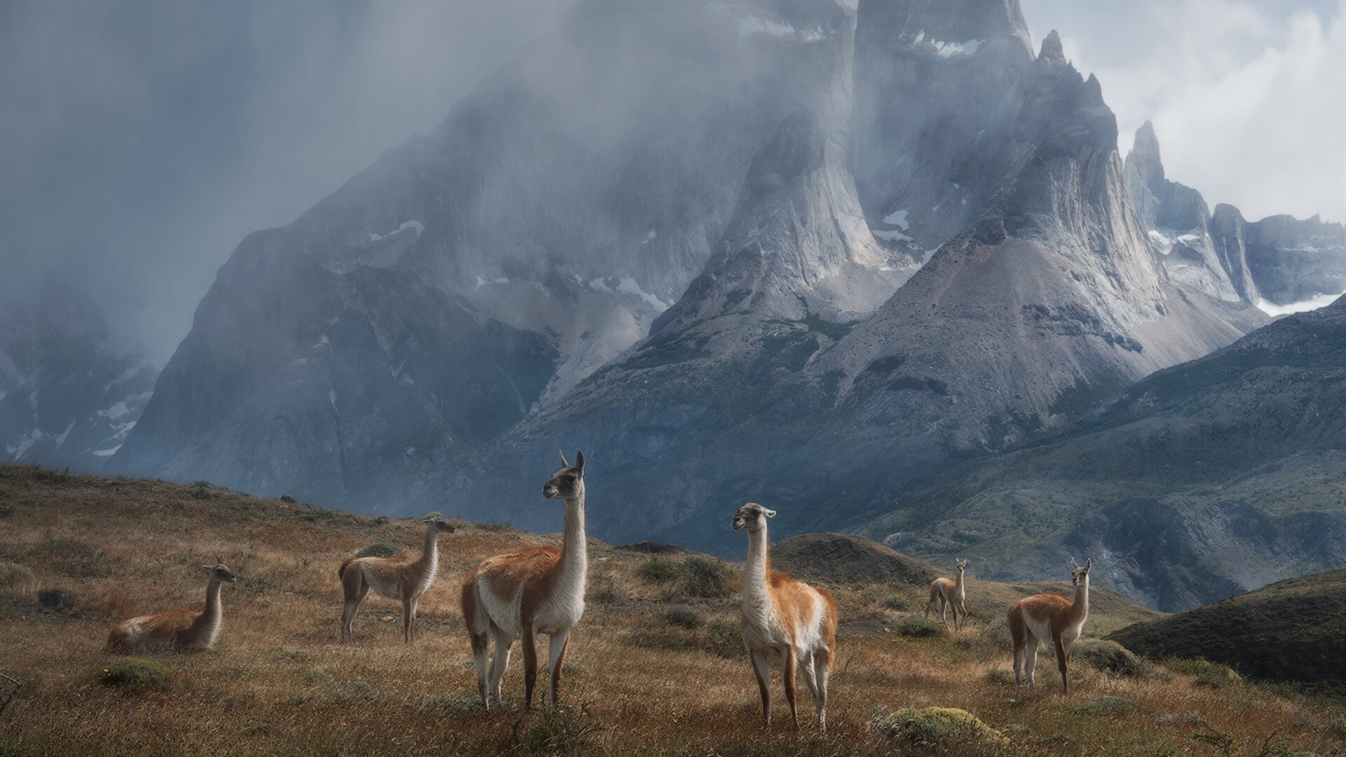 世俱杯-卢卡库铁蹄踏碎皇家蓝！西班牙铁军3-1斩落皇家社会