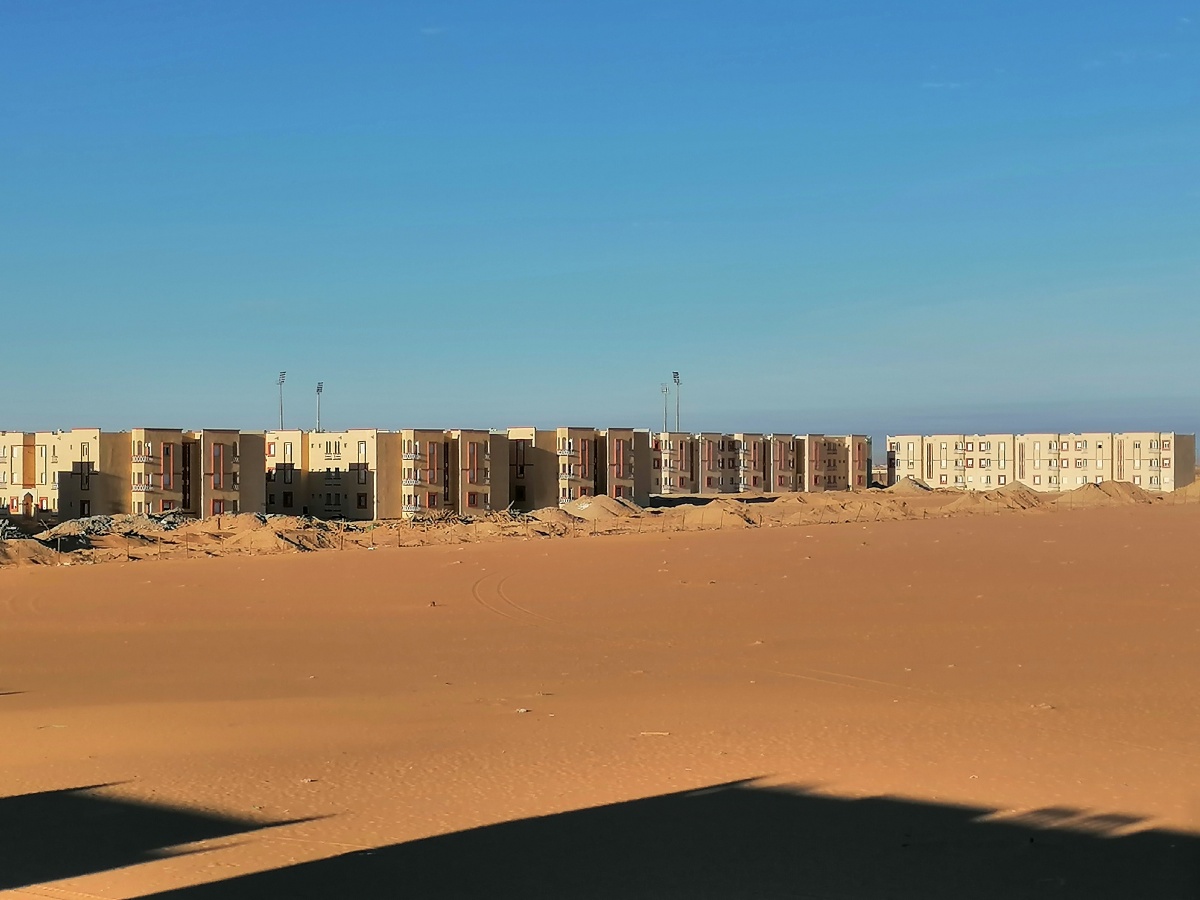 中国对阵阿尔及利亚,奥利维耶舞台越大越强 中国对阵阿尔及利亚,奥利维耶舞台越大越强