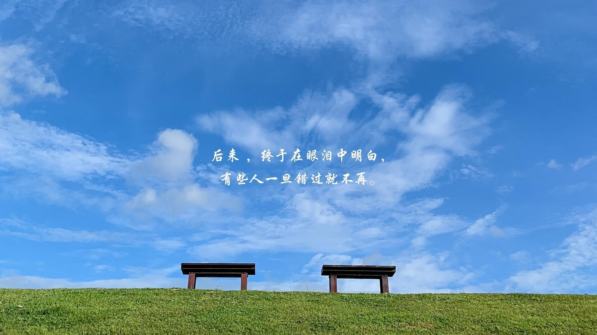 西亚卡姆硬仗之王本色尽显，奇才生死战破森林狼锁定生机