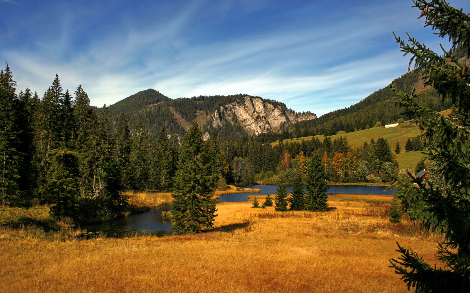 范弗利特领军击穿钢铁防线，公牛力克辽宁展现跨洲篮球力量