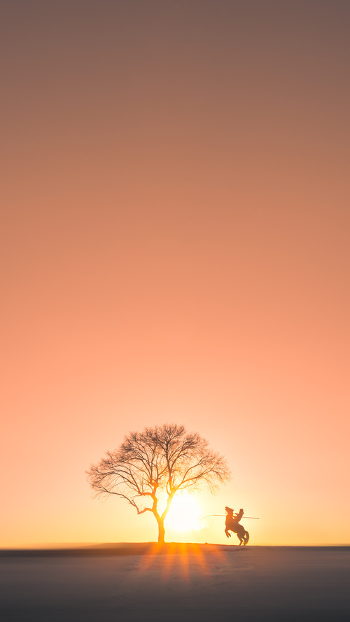 跨越时空的胜利,威尔士抗罗马与富安健洋的意甲时刻