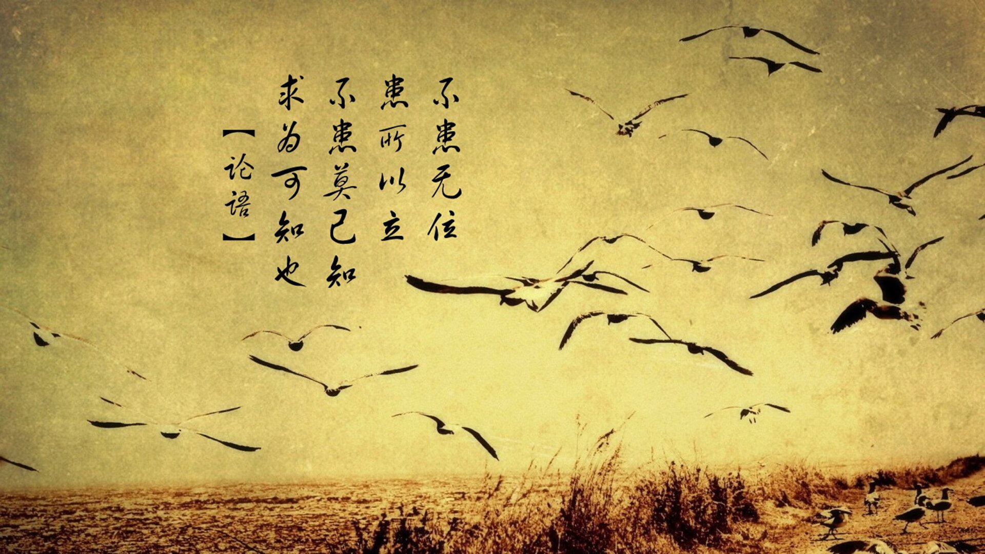 硬仗之王的双城记,字母哥与山西队的胜利之道