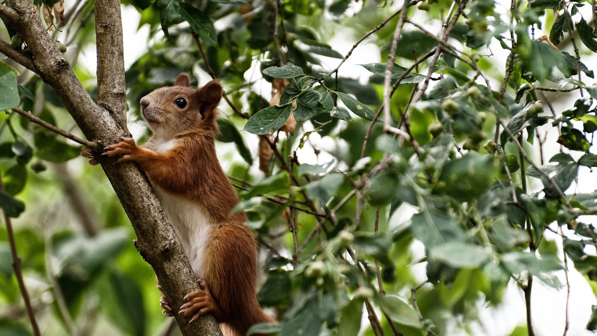 封喉一击！西域铁骑带走江南飞剑—记新疆广厦年度焦点之战