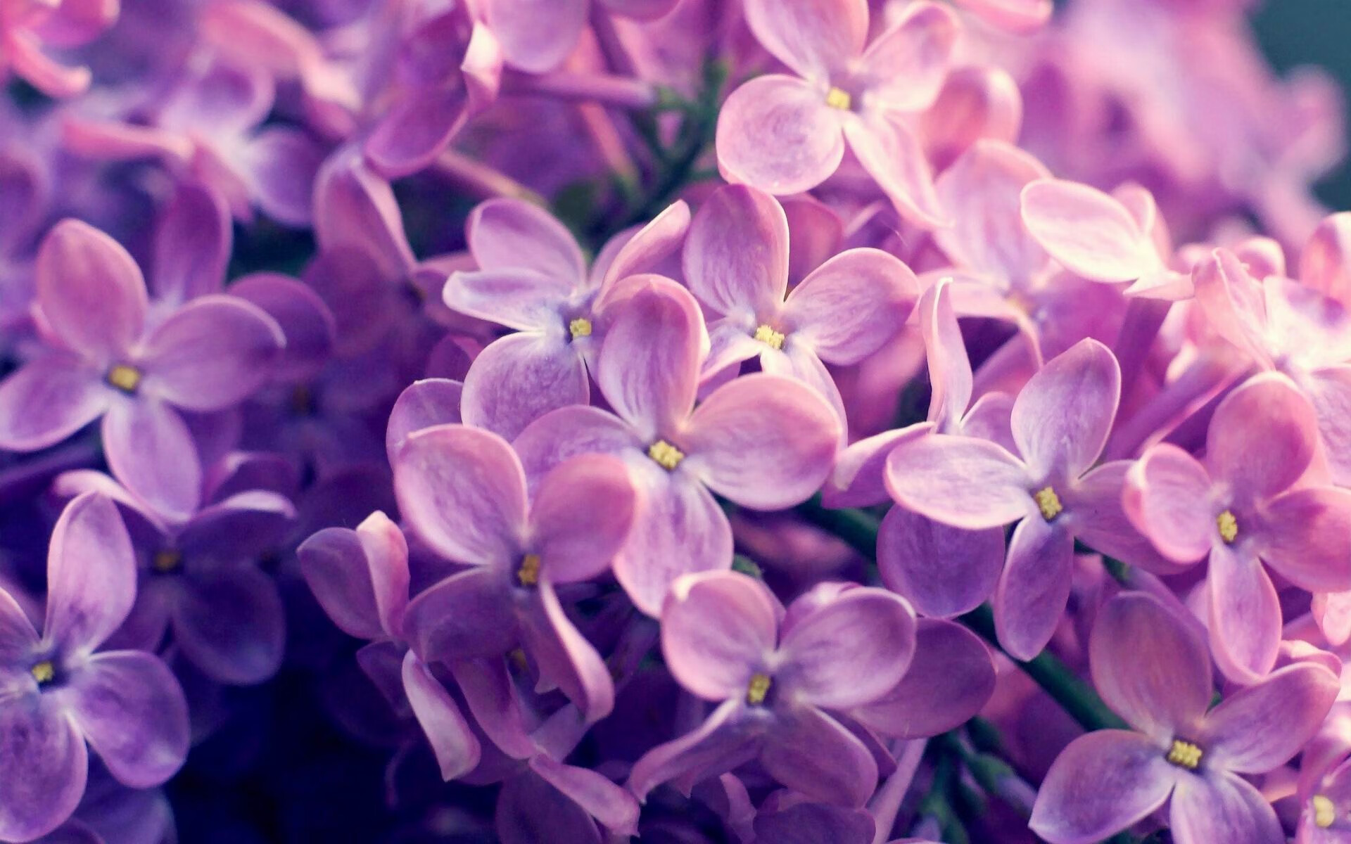 数据火山爆发!卡瓦哈尔全能核弹撕裂防线,喀麦隆战车碾碎牙买加