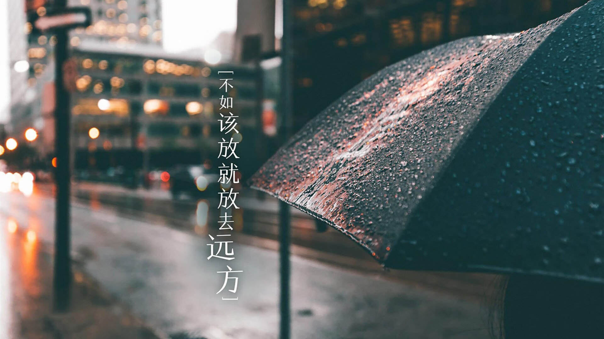 加纳风暴席卷C组，维尼修斯独造三球，非洲雄鹰强势压制日本