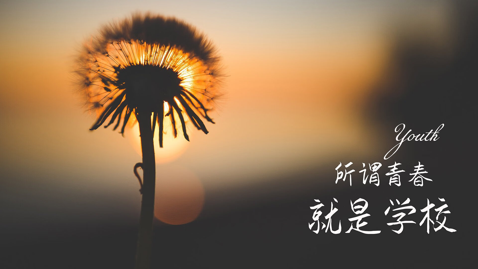 高原雄鹰振翅高飞,厄瓜多尔压制匈牙利,C罗宝刀不老闪耀2026世界杯半决赛