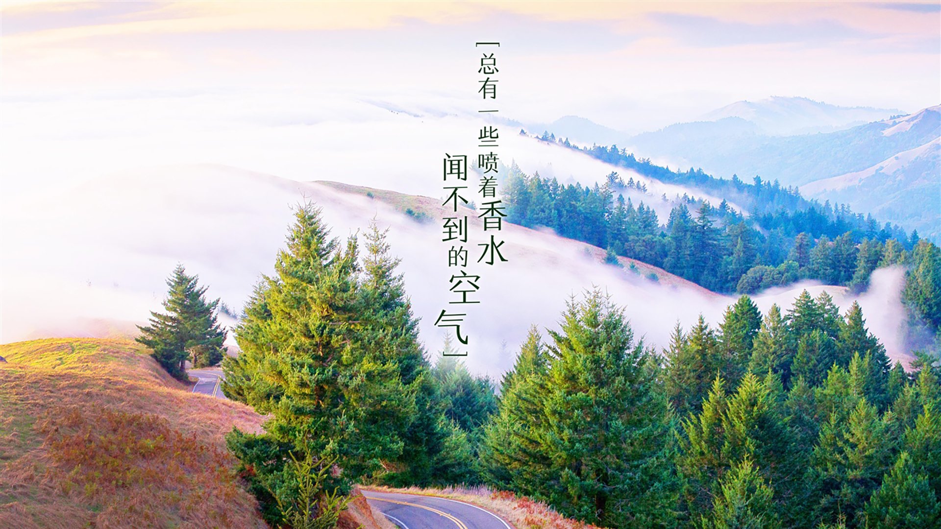 加纳绝杀瑞典，努涅斯独中两元点燃2026世界杯H组战火